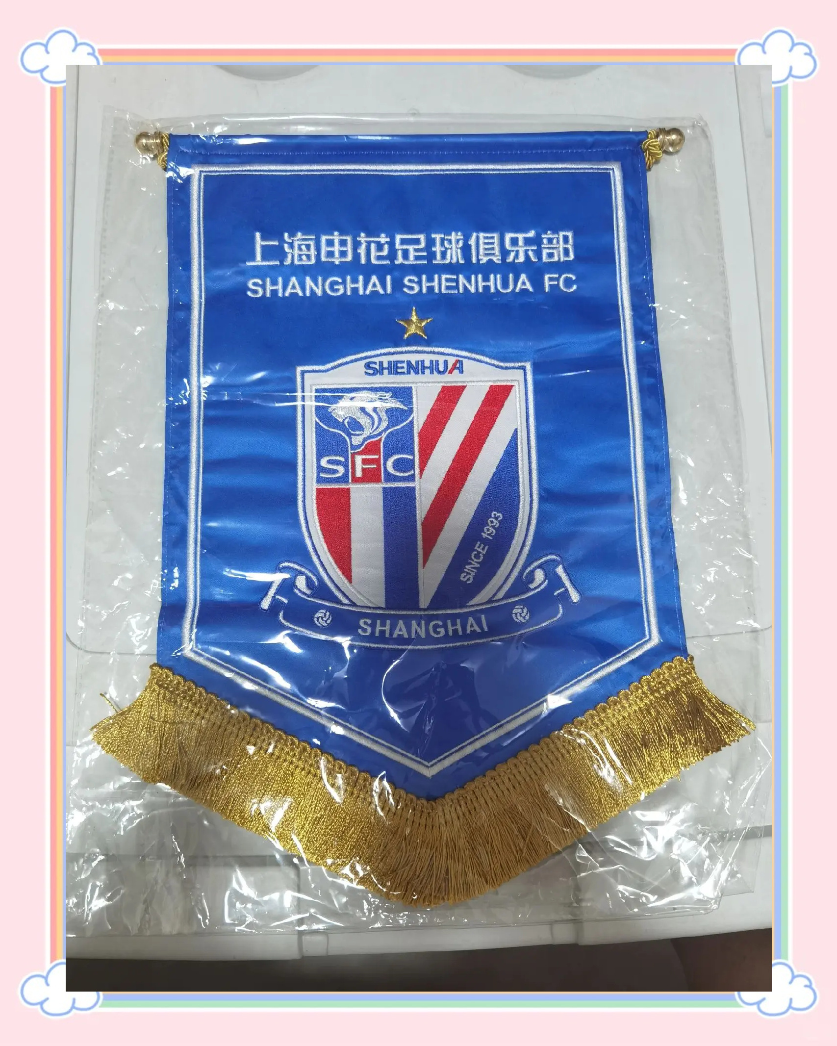 Shanghai Shenhua Football Club (Shanghai Shenhua Football Club Telephone)